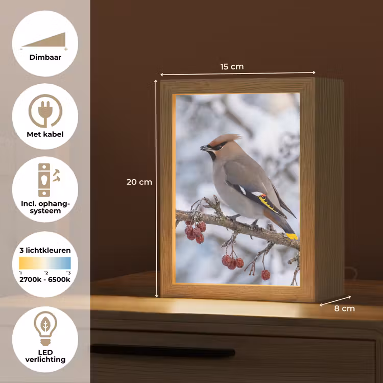 Pestvogel - Bessen - Winter - Natuur Light Box met kabel (Kinderlampje) klein -USP_NL