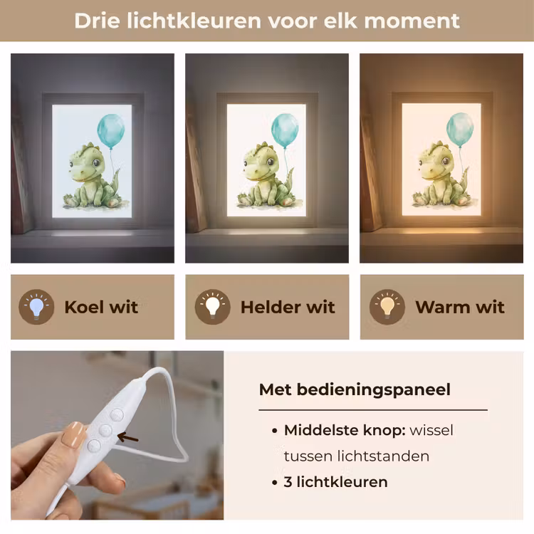 Draak - Baby dier - Blauwe ballon Light Box met kabel klein -USP_lichtkleurNL