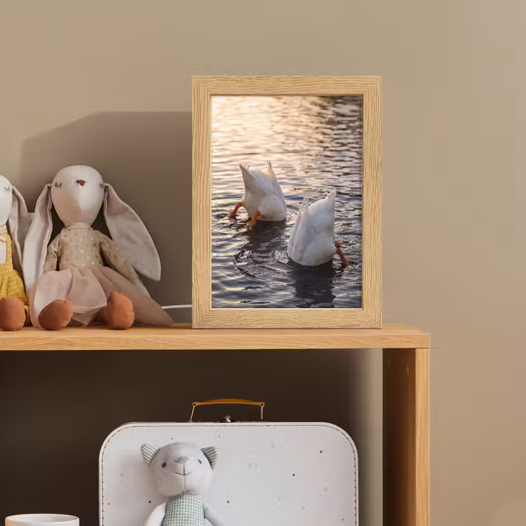 Eenden - Water - Natuur Light Box met kabel (Kinderlampje) klein -sfeer2_kind