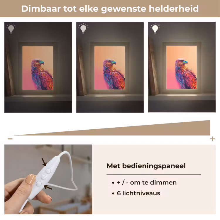 Arend - Vogel - Kleurrijk - Dier Light Box met kabel klein -USP_dimbaarNL