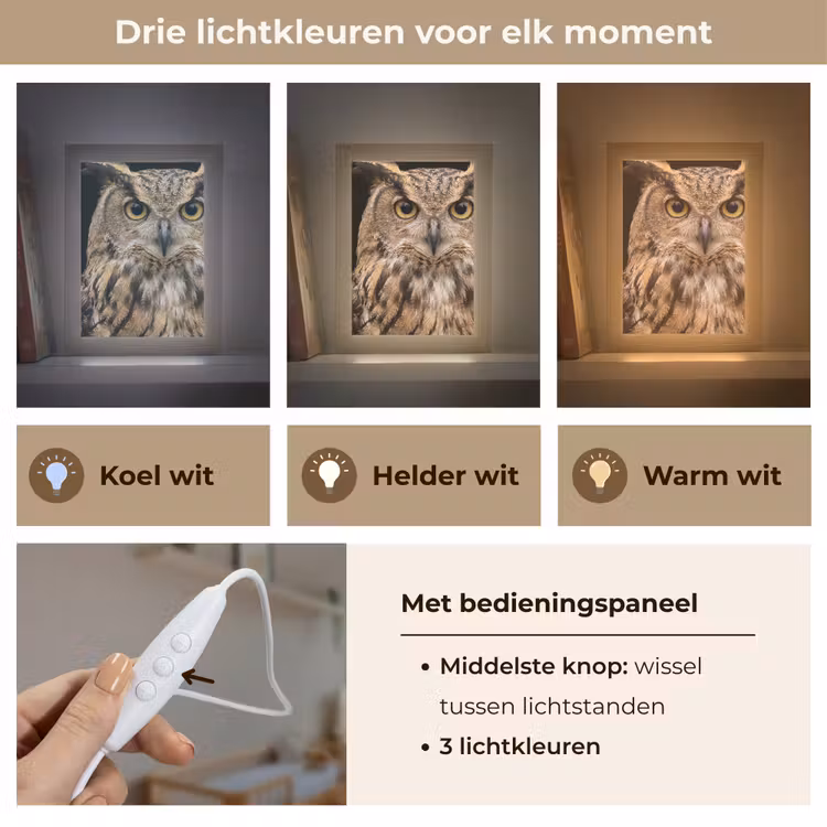 Oehoe - Uil - Portret - Bruin Light Box met kabel (Kinderlampje) klein -USP_lichtkleurNL