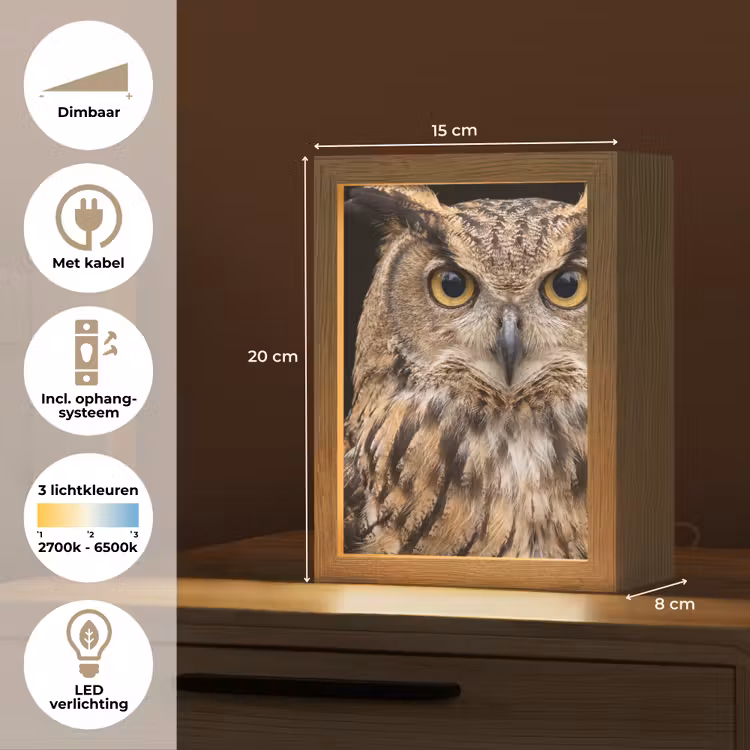 Oehoe - Uil - Portret - Bruin Light Box met kabel (Kinderlampje) klein -USP_NL