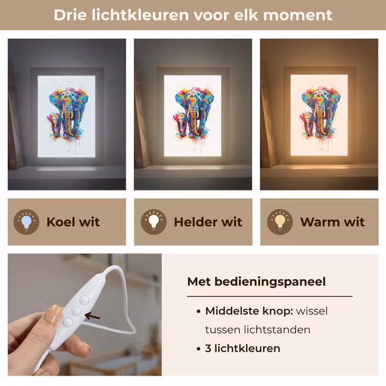 Olifanten - Dieren - Verf - Kleurrijk Light Box met kabel klein -USP_lichtkleurNL