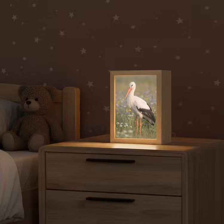 Ooienvaar - Bloemen - Weide - Kleurrijk Light Box met kabel (Kinderlampje) klein -sfeer1_kind