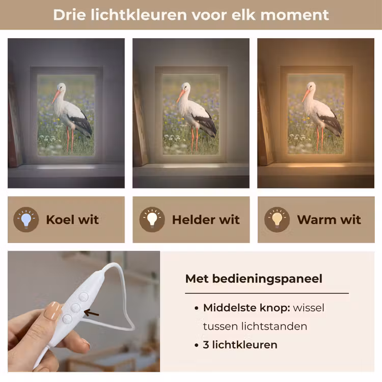 Ooienvaar - Bloemen - Weide - Kleurrijk Light Box met kabel (Kinderlampje) klein -USP_lichtkleurNL