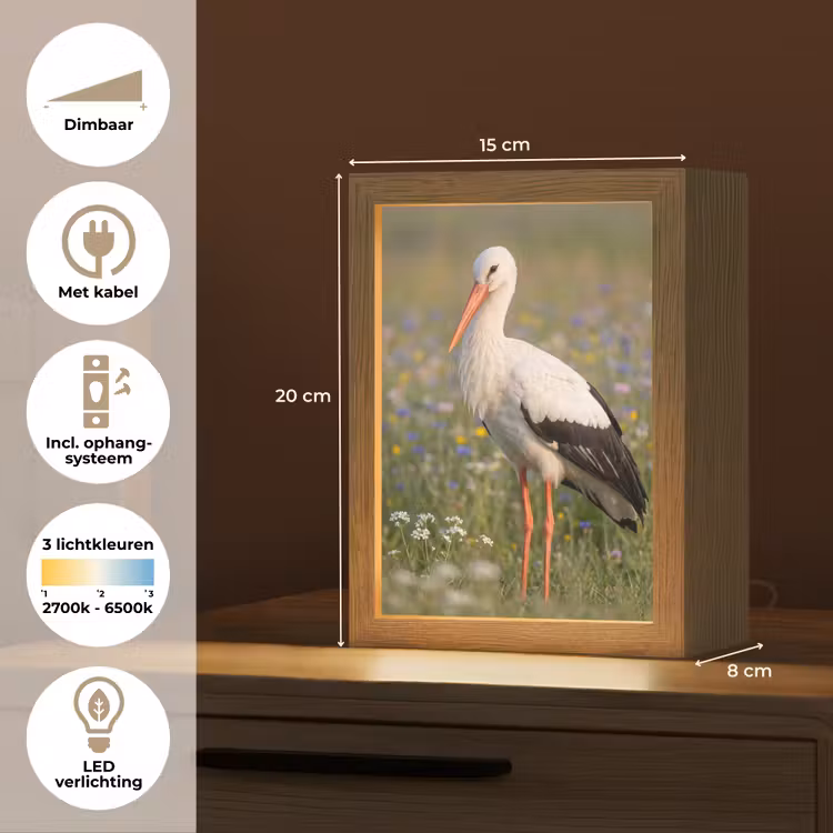Ooienvaar - Bloemen - Weide - Kleurrijk Light Box met kabel (Kinderlampje) klein -USP_NL