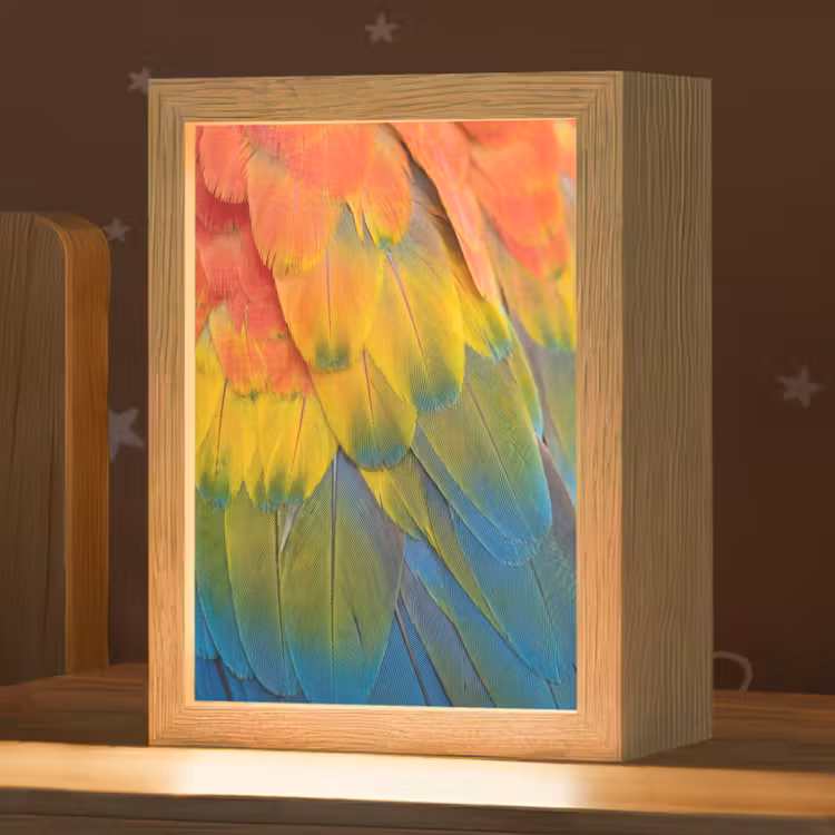 Veren - Ara - Kleurrijk Light Box met kabel (Kinderlampje) klein -zzz_3d_website