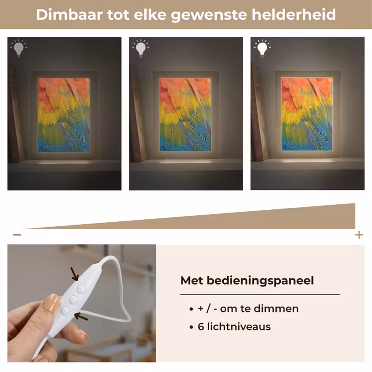 Veren - Ara - Kleurrijk Light Box met kabel (Kinderlampje) klein -USP_dimbaarNL