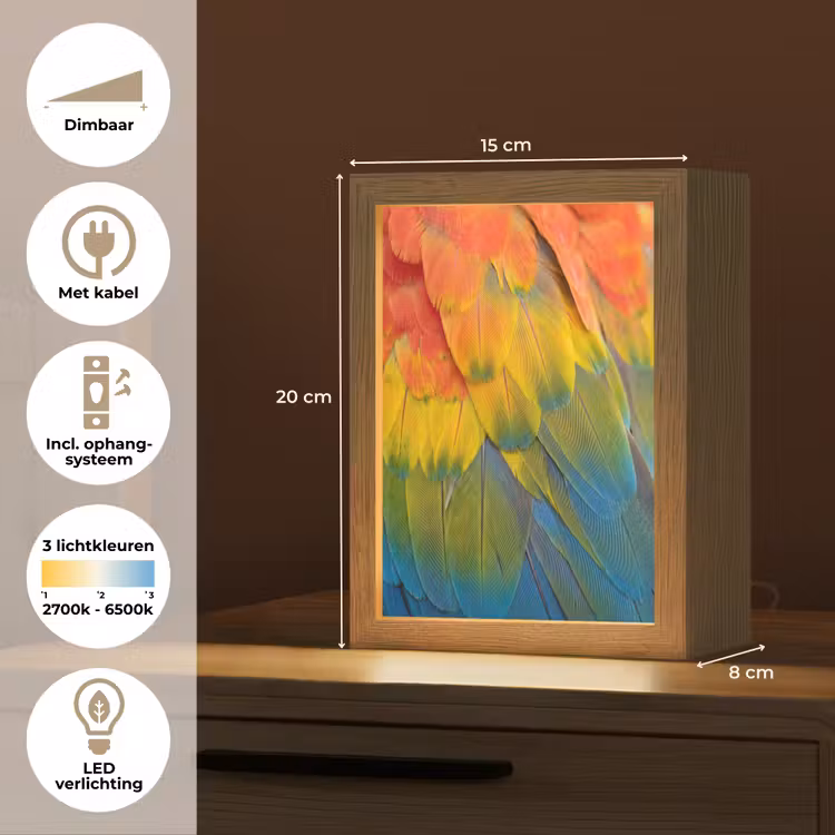 Veren - Ara - Kleurrijk Light Box met kabel (Kinderlampje) klein -USP_NL