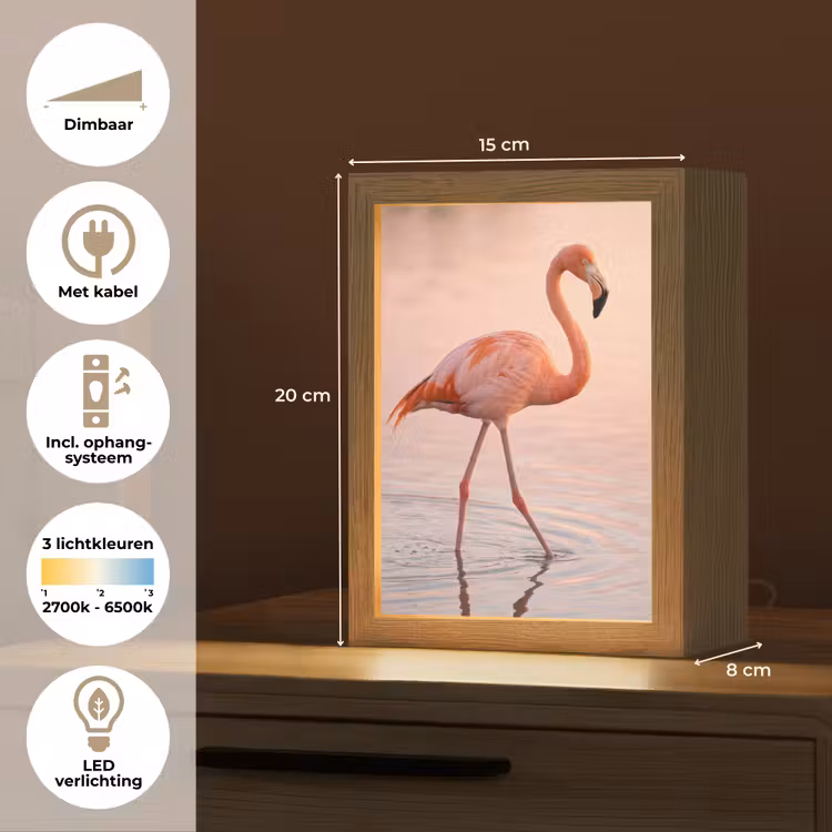 Flamingo - Water - Roze Light Box met kabel (Kinderlampje) klein -USP_NL