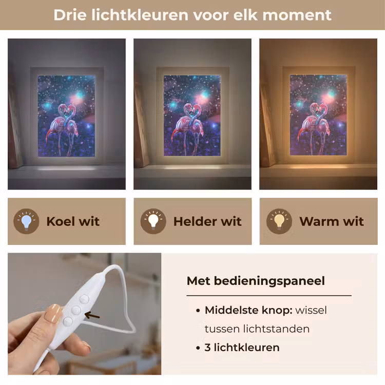 Flamingo's - Dieren - Ruimte - Galaxy Light Box met kabel klein -USP_lichtkleurNL