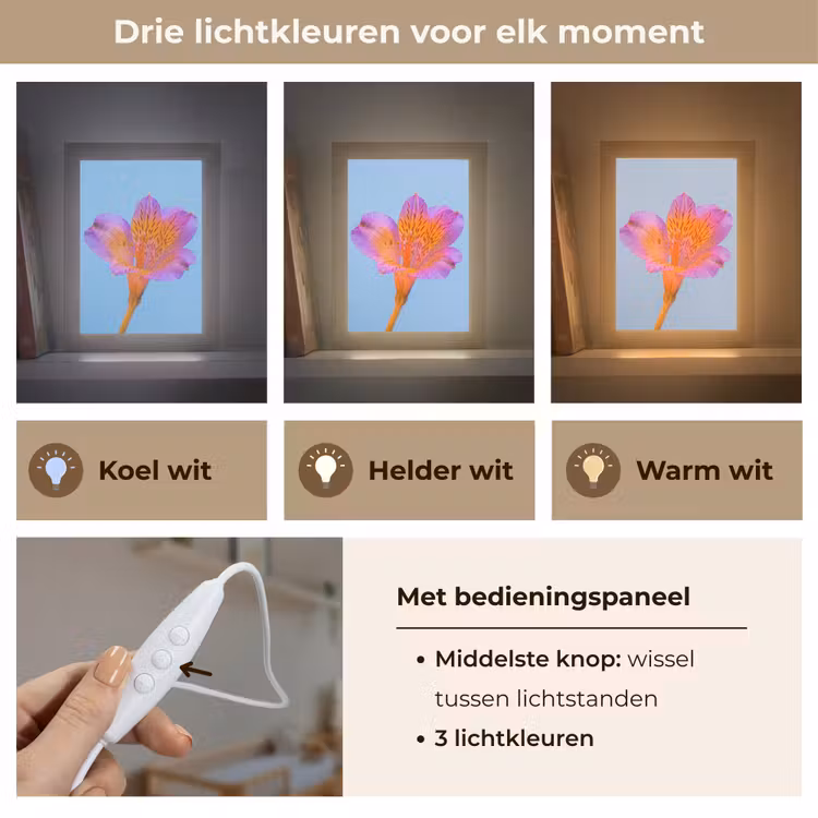 Bloem - Detail - Kleurrijk Light Box met kabel (Kinderlampje) klein -USP_lichtkleurNL