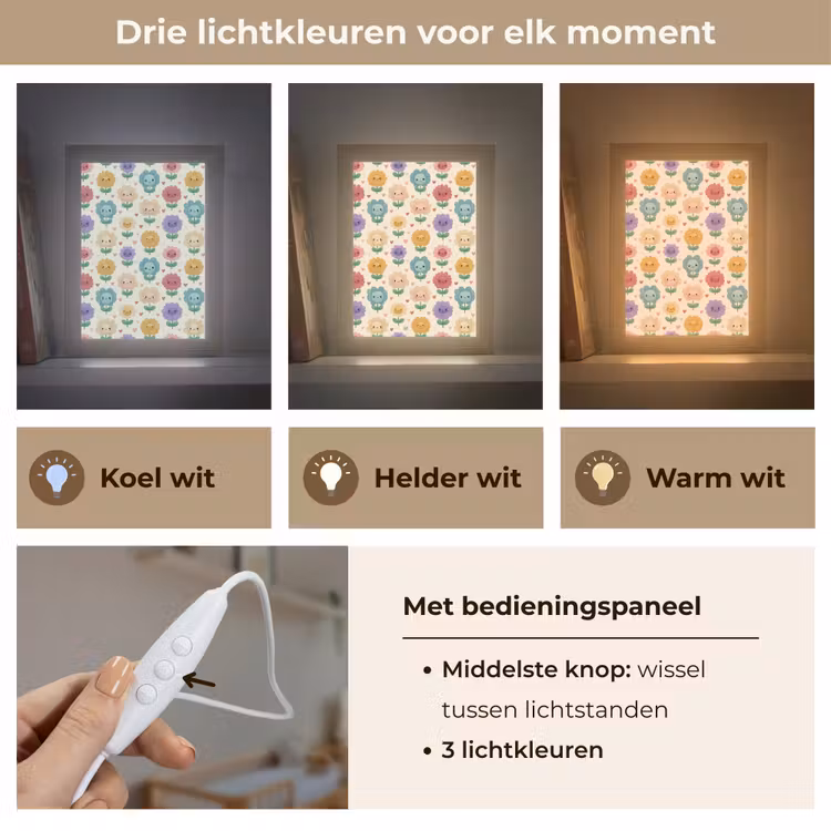 Bloemen - Hartjes - Kleurrijk Light Box met kabel (Kinderlampje) klein 904 -USP_lichtkleurNL