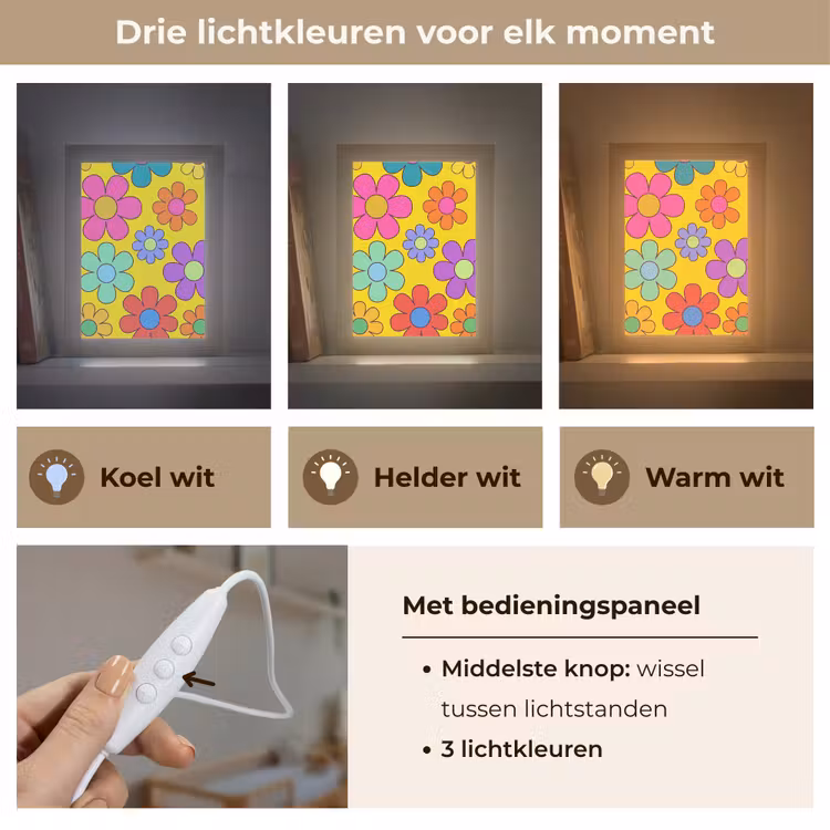 Bloemen - Illustratie - Kleurrijk Light Box met kabel (Kinderlampje) klein -USP_lichtkleurNL