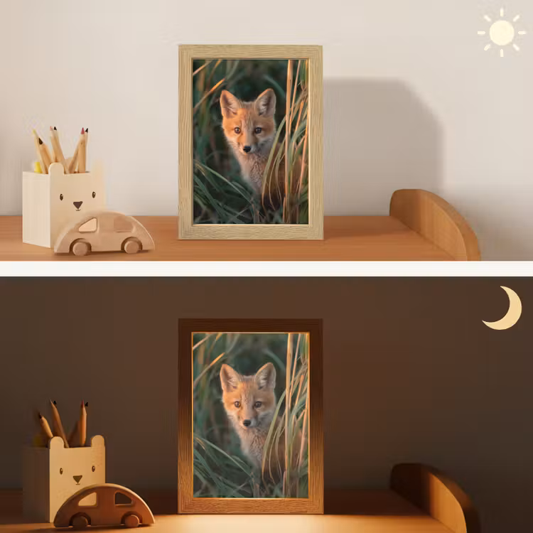 Vos - Oranje - Gras Light Box met kabel klein -sfeer3_kind