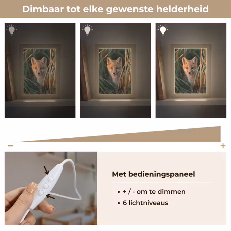Vos - Oranje - Gras Light Box met kabel klein -USP_dimbaarNL
