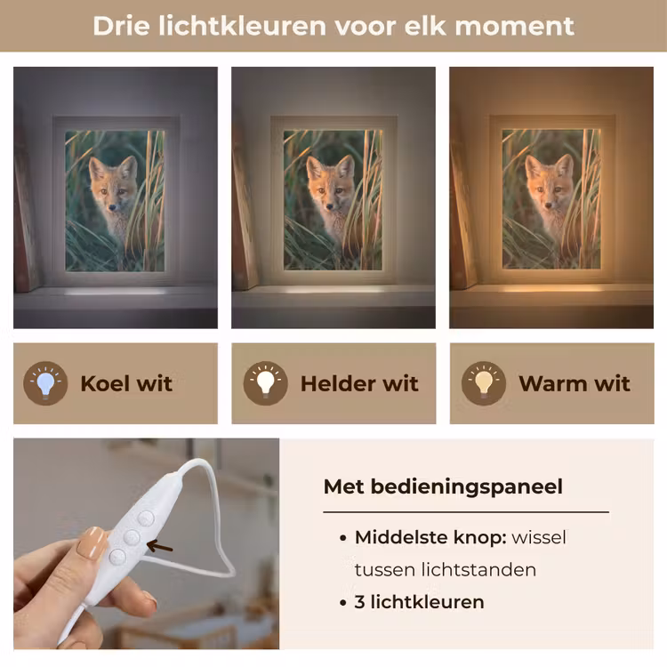 Vos - Oranje - Gras Light Box met kabel klein -USP_lichtkleurNL