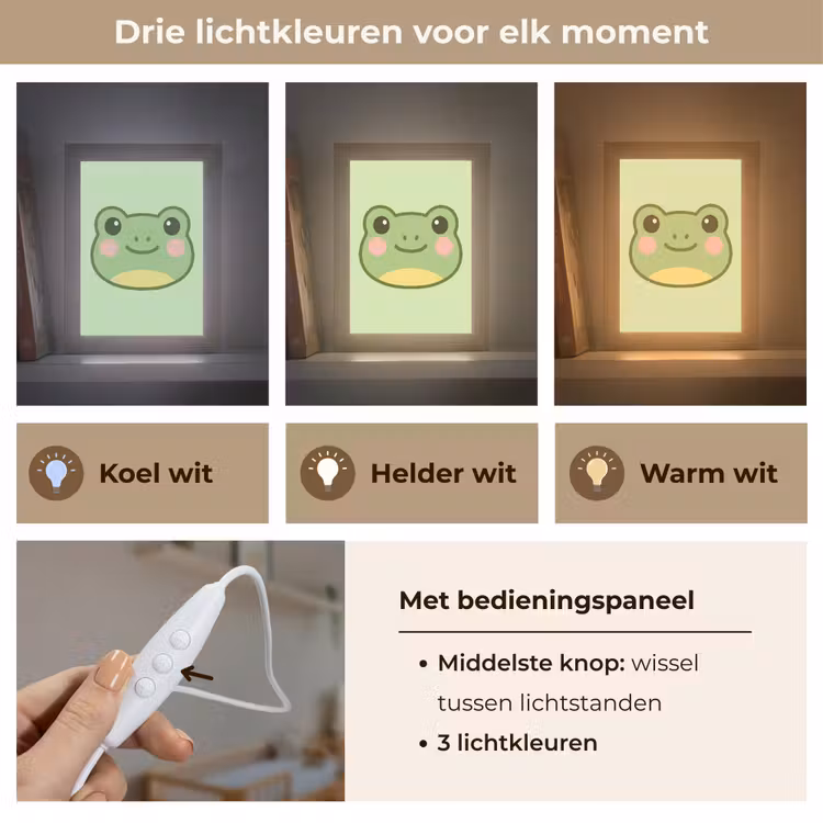 Kikker - Groen - Vriendelijkheid Light Box met kabel klein -USP_lichtkleurNL
