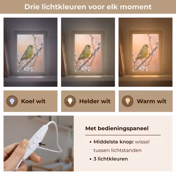 Groenling - Katjes - Lente - Natuur - Zacht Light Box met kabel (Kinderlampje) klein -USP_lichtkleurNL