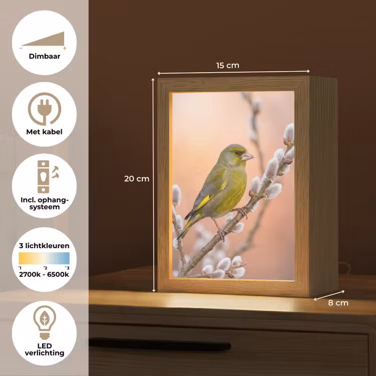 Groenling - Katjes - Lente - Natuur - Zacht Light Box met kabel (Kinderlampje) klein -USP_NL