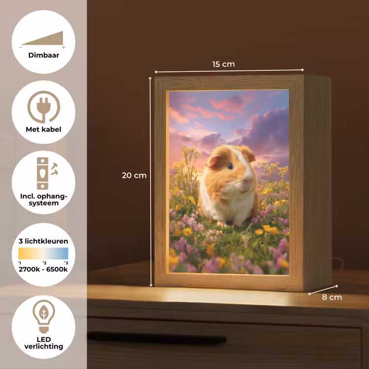 Cavia - Kleurrijk - Bloemen Light Box met kabel klein -USP_NL
