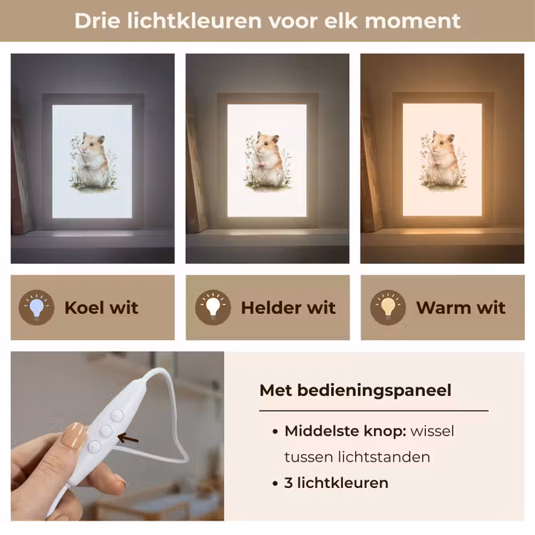 Hamster - Bloemen Light Box met kabel klein -USP_lichtkleurNL