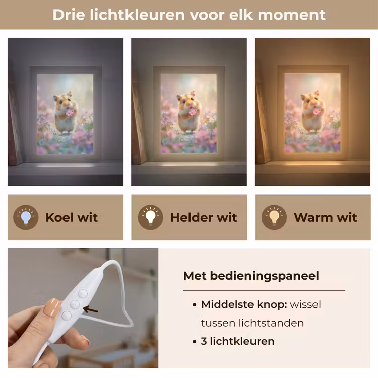 Hamster - Bloemen - Roze - Oranje Light Box met kabel klein -USP_lichtkleurNL