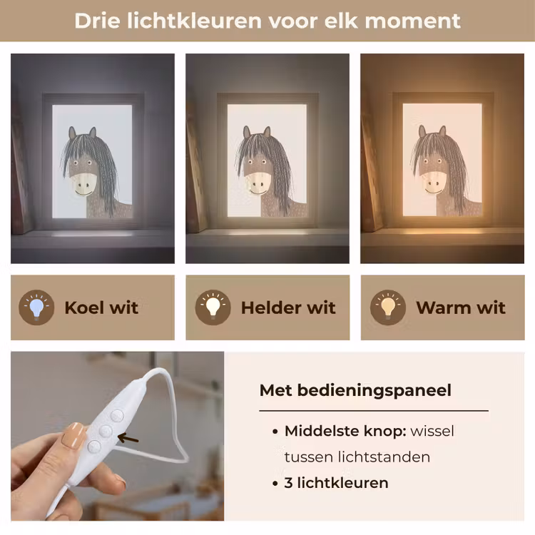 Paard - Dier - Pastel kleuren - Paarden Light Box met kabel klein -USP_lichtkleurNL