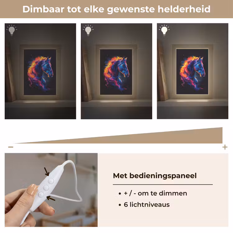 Paard - Dier - Rook - Zwart - Kleuren Light Box met kabel klein -USP_dimbaarNL