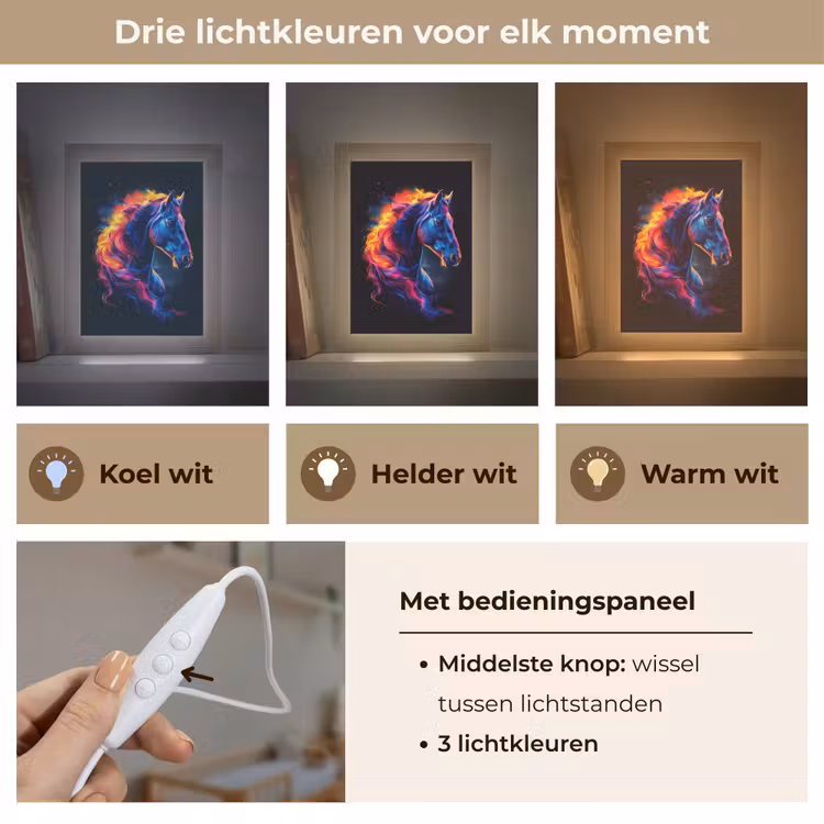 Paard - Dier - Rook - Zwart - Kleuren Light Box met kabel klein -USP_lichtkleurNL