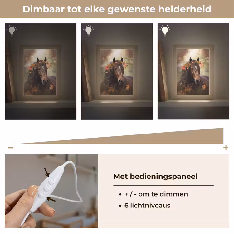 Paard - Dieren - Bloemen - Bos - Vlinder Light Box met kabel klein -USP_dimbaarNL