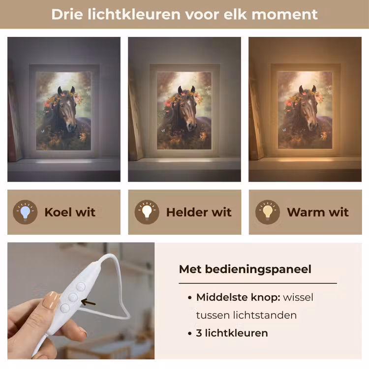 Paard - Dieren - Bloemen - Bos - Vlinder Light Box met kabel klein -USP_lichtkleurNL