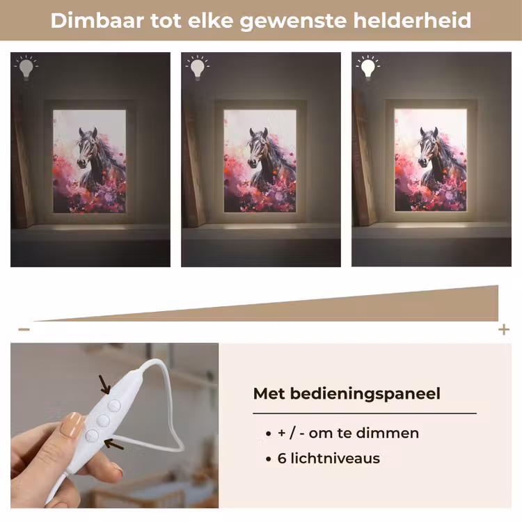 Paard - Dieren - Meisje - Roze Light Box met kabel klein -USP_dimbaarNL