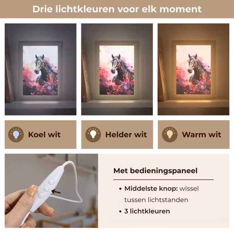 Paard - Dieren - Meisje - Roze Light Box met kabel klein -USP_lichtkleurNL