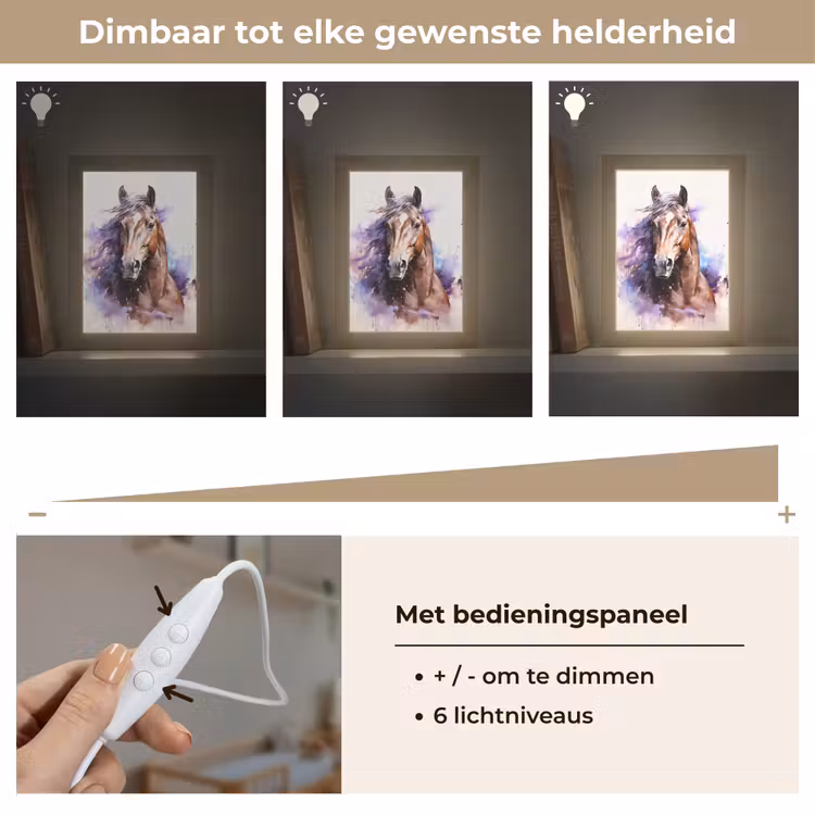 Paard - Dieren - Meisjes - Paars - Bruin Light Box met kabel klein -USP_dimbaarNL