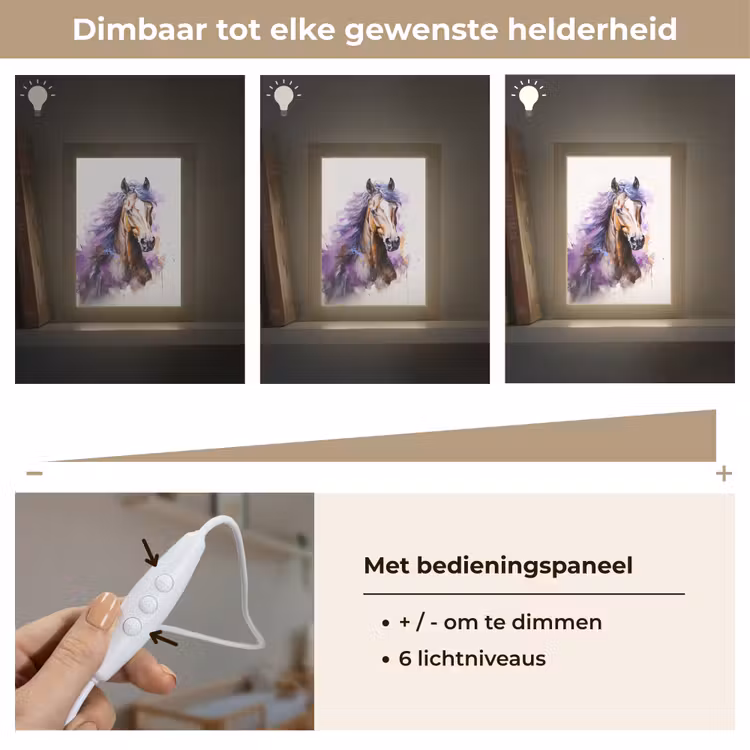 Paard - Dieren - Meiden - Paars - Bruin Light Box met kabel klein -USP_dimbaarNL