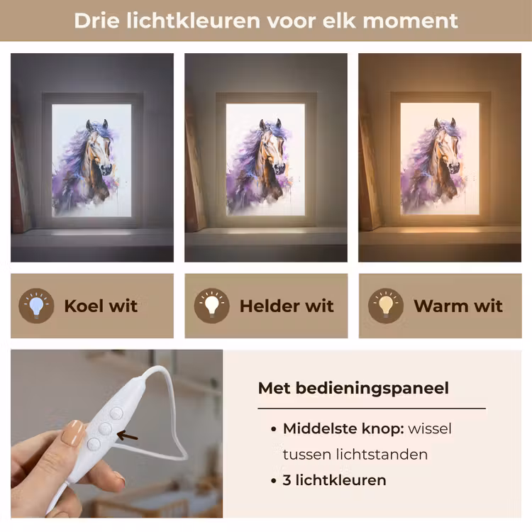 Paard - Dieren - Meiden - Paars - Bruin Light Box met kabel klein -USP_lichtkleurNL