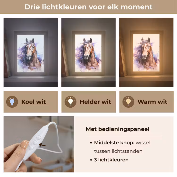 Paard - Dieren - Meisjes - Paars - Bruin Light Box met kabel klein -USP_lichtkleurNL
