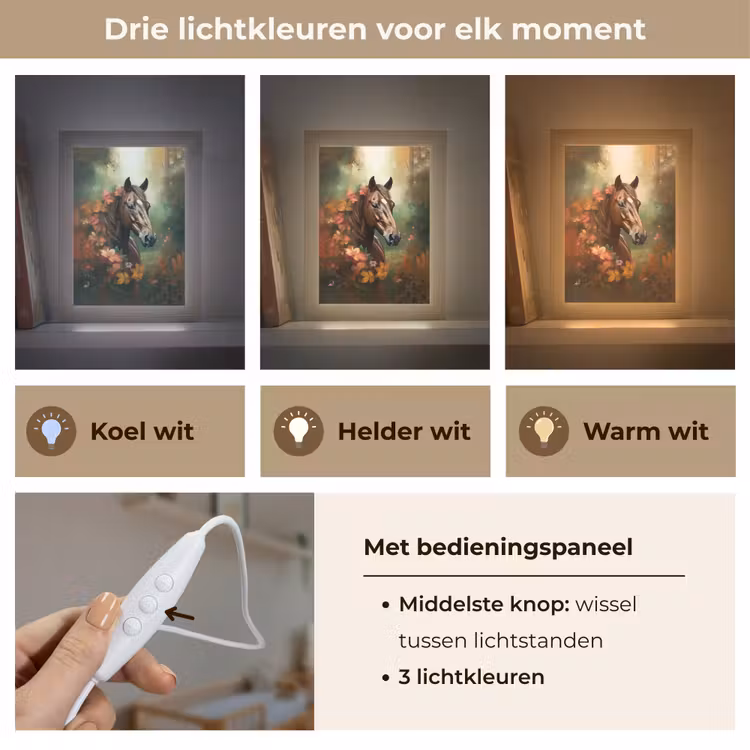 Paard - Bloemen - Natuur - Dieren - Bos - Oranje Light Box met kabel klein -USP_lichtkleurNL