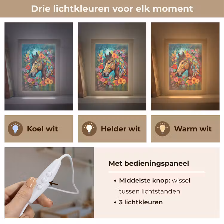 Paard - Bloemen - Schilderij - Natuur - Verf Light Box met kabel klein -USP_lichtkleurNL