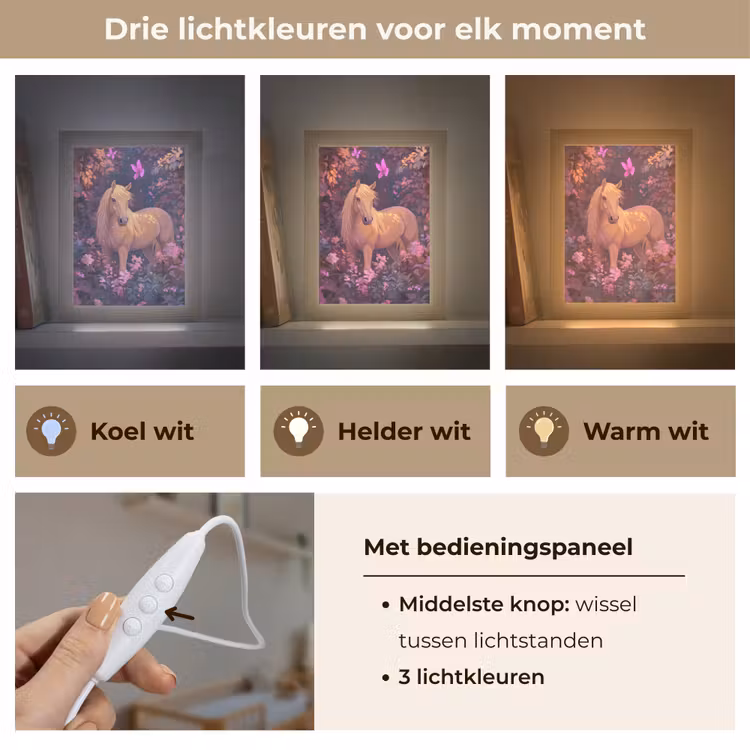Paard - Bloemen - Paars - Vlinder Light Box met kabel klein -USP_lichtkleurNL