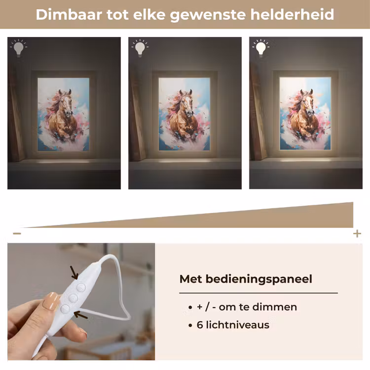 Paard - Meisjes - Blauw - Roze Light Box met kabel klein -USP_dimbaarNL