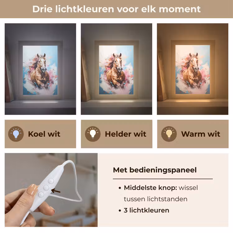 Paard - Meisjes - Blauw - Roze Light Box met kabel klein -USP_lichtkleurNL