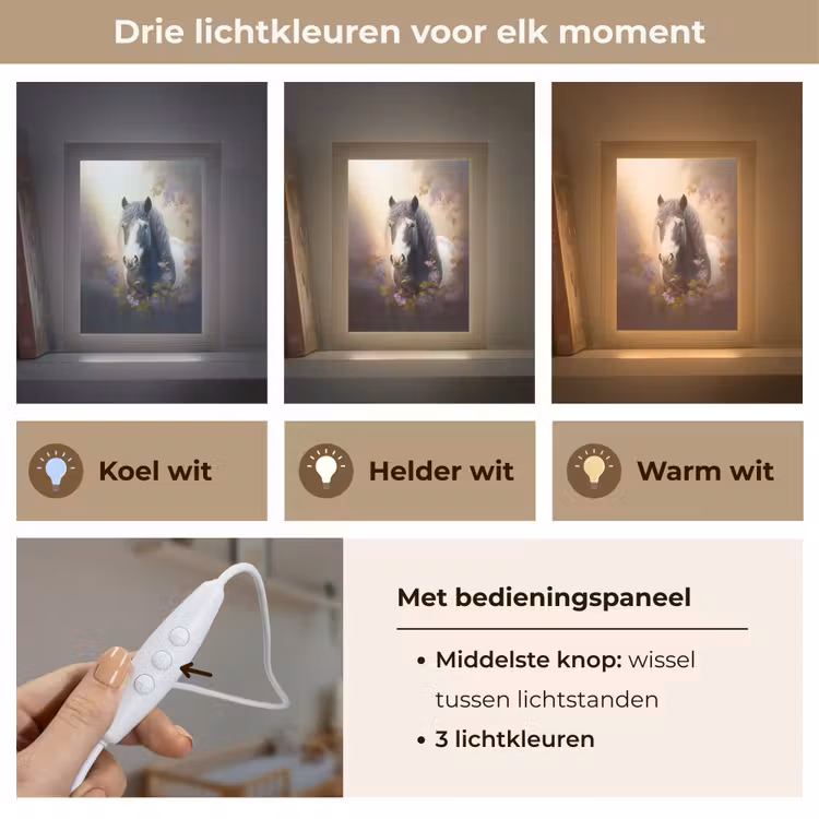 Paard - Natuur - Dieren - Bloemen - Paars Light Box met kabel klein -USP_lichtkleurNL