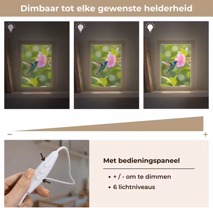 Kolibrie - Bloem - Natuur - Groen Light Box met kabel (Kinderlampje) klein -USP_dimbaarNL