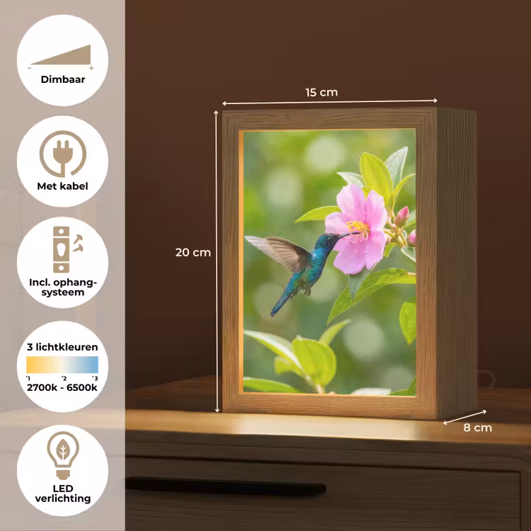 Kolibrie - Bloem - Natuur - Groen Light Box met kabel (Kinderlampje) klein -USP_NL
