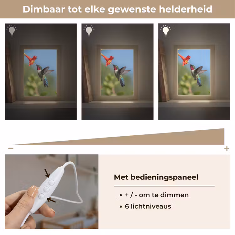 Kolibrie - Bloem - Natuur - Groen Light Box met kabel (Kinderlampje) klein -USP_dimbaarNL