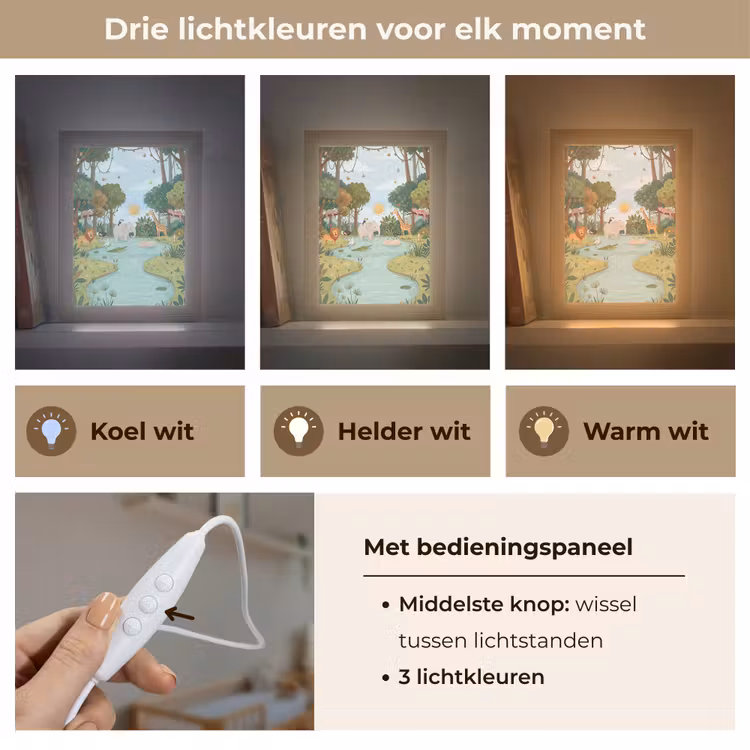 Jungle - Oase - Dieren - Kleurrijk Light Box met kabel (Kinderlampje) klein -USP_lichtkleurNL