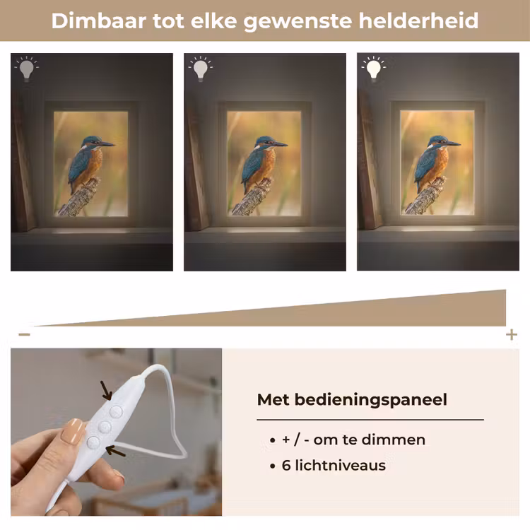 IJsvogel - Tak - Water - Kleurrijk - Levendig Light Box met kabel (Kinderlampje) klein -USP_dimbaarNL