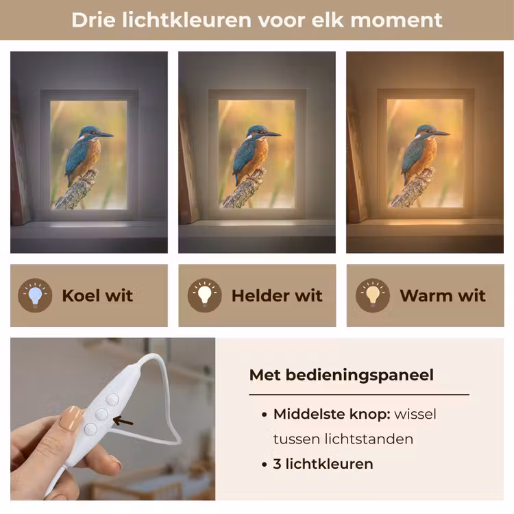 IJsvogel - Tak - Water - Kleurrijk - Levendig Light Box met kabel (Kinderlampje) klein -USP_lichtkleurNL